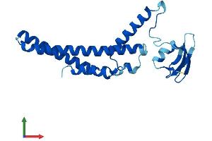 Protein Structure (PS) image for GINS Complex Subunit 1 (Psf1 Homolog) (GINS1) (AA 1-196) protein (His tag) (ABIN7551078)