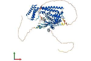 Protein Structure (PS) image for PDX1 C-terminal Inhibiting Factor 1 (PCIF1) (AA 1-706) protein (His tag) (ABIN7556541)