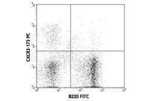 Flow Cytometry (FACS) image for anti-Chemokine (C-X-C Motif) Receptor 3 (CXCR3) antibody (PE) (ABIN2663112) (CXCR3 抗体  (PE))