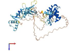 GIN1 Protein (AA 1-518) (His tag)