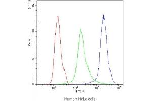 Flow Cytometry (FACS) image for anti-Cannabinoid Receptor 1 (CNR1) antibody (ABIN5708215)