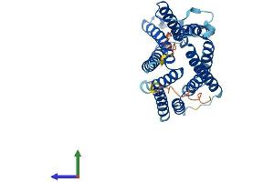 Protein Structure (PS) image for Solute Carrier Family 35 (UDP-GlcNAc/UDP-Glucose Transporter), Member D2 (SLC35D2) (AA 1-337) protein (His tag) (ABIN7545946)