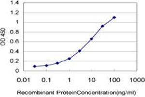 Detection limit for recombinant GST tagged C9orf96 is approximately 0. (C9orf96 抗体  (AA 1-99))