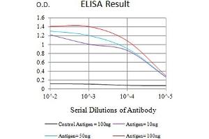 Black line: Control Antigen (100 ng),Purple line: Antigen (10 ng), Blue line: Antigen (50 ng), Red line:Antigen (100 ng) (CEACAM5 抗体  (AA 35-165))
