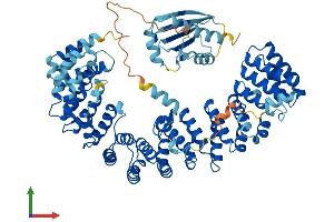Protein Structure (PS) image for Adaptor-Related Protein Complex 4, beta 1 Subunit (AP4B1) (AA 1-739) protein (His tag) (ABIN7552129)