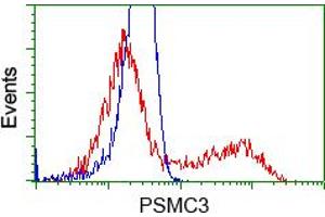 Image no. 5 for anti-Proteasome (Prosome, Macropain) 26S Subunit, ATPase, 3 (PSMC3) antibody (ABIN1501331) (PSMC3 抗体)