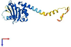 AP3S2 Protein (AA 1-193) (His tag)