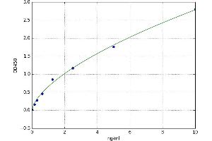 Adrenoceptor alpha 1A (ADRA1A) ELISA Kit