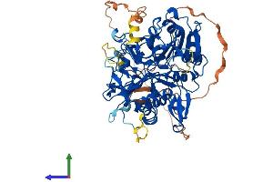 Protein Structure (PS) image for Tyrosyl-DNA Phosphodiesterase 1 (TDP1) (AA 1-609) protein (His tag) (ABIN7564369)