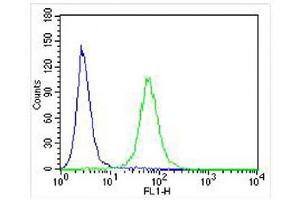Overlay histogram showing U-2 OS cells stained with (ABIN6242397 and ABIN6578004) (green line). (IL-24 抗体)