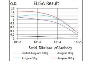 ELISA image for anti-Glypican 3 (GPC3) antibody (ABIN1107403)