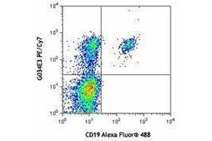 Flow Cytometry (FACS) image for anti-Chemokine (C-C Motif) Receptor 6 (CCR6) antibody (PE-Cy7) (ABIN2659154) (CCR6 抗体  (PE-Cy7))