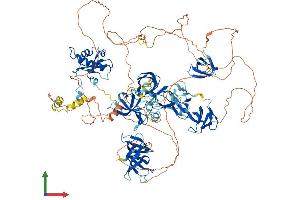 Protein Structure (PS) image for Transcription Elongation Factor SPT5 (SUPT5H) (AA 1-1087) protein (His tag) (ABIN7555625)