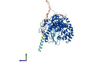 Protein Structure (PS) image for UDP-N-Acetyl-alpha-D-Galactosamine:polypeptide N-Acetylgalactosaminyltransferase 10 (GalNAc-T10) (GALNT10) (AA 1-603) protein (His tag) (ABIN7554008)