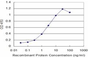 Detection limit for recombinant GST tagged TTN is approximately 0. (Titin 抗体  (AA 1-110))