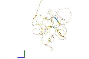 AlphaFold protein structure predicition of Human Recombinant AMER2 Protein, UniprotID Q8N7J2