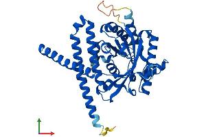 Protein Structure (PS) image for Lysophosphatidylglycerol Acyltransferase 1 (LPGAT1) (AA 1-370) protein (His tag) (ABIN7548981)