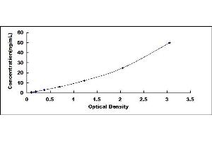 Typical standard curve (GFOD1 ELISA 试剂盒)