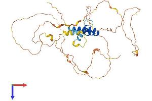 SSBP4 Protein (AA 1-385) (His tag)