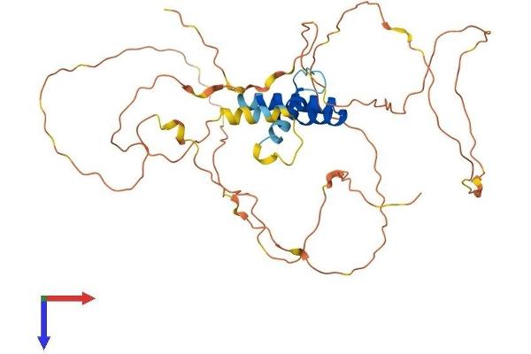 SSBP4 Protein (AA 1-385) (His tag)