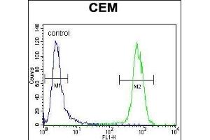 PON1 Antibody (Center) (ABIN654641 and ABIN2844338) flow cytometric analysis of CEM cells (right histogram) compared to a negative control cell (left histogram). (PON1 抗体  (AA 118-145))
