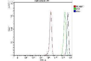 Flow Cytometry analysis of HepG2 cells using anti-PAH antibody (ABIN5518942).