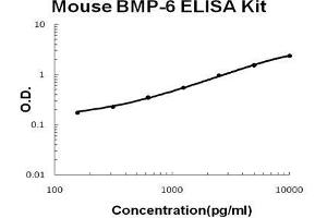 Mouse BMP-6 PicoKine ELISA Kit standard curve