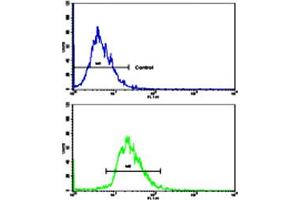Flow cytometric analysis of HepG2 cells using CD82 polyclonal antibody (bottom histogram) compared to a negative control cell (top histogram). (CD82 抗体  (C-Term))