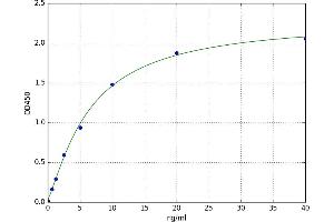 A typical standard curve (SYK ELISA 试剂盒)
