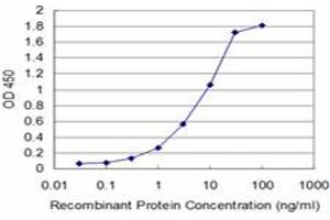 Detection limit for recombinant GST tagged HCLS1 is approximately 0. (HCLS1 抗体  (AA 266-355))