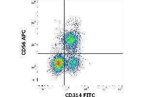 Flow Cytometry (FACS) image for anti-Killer Cell Lectin-Like Receptor Subfamily K, Member 1 (KLRK1) antibody (FITC) (ABIN1027688)