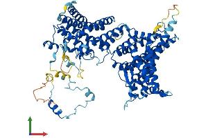 Protein Structure (PS) image for MAK10 Homolog, Amino-Acid N-Acetyltransferase Subunit (MAK10) (AA 1-725) protein (His tag) (ABIN7558084)