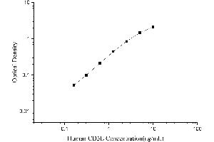 CD5 Molecule-Like (CD5L) ELISA Kit