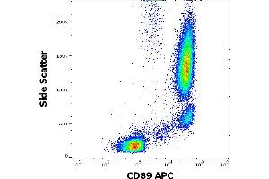 Flow cytometry surface staining pattern of human peripheral whole blood stained using anti-human CD89 (A59) APC antibody (10 μL reagent / 100 μL of peripheral whole blood). (FCAR 抗体  (APC))