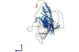 AlphaFold protein structure predicition of Human Recombinant TRPC4 Protein, UniprotID Q9UBN4 (TRPC4 Protein (AA 1-977) (His tag))