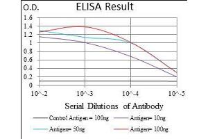 Black line: Control Antigen (100 ng), Purple line: Antigen(10 ng), Blue line: Antigen (50 ng), Red line: Antigen (100 ng), (IL3RA 抗体  (AA 200-305))