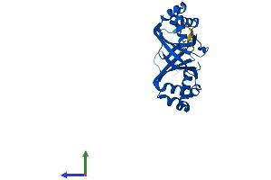 AlphaFold protein structure predicition of Mouse Recombinant Nipsnap3b Protein, UniprotID Q9CQE1