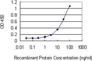 Detection limit for recombinant GST tagged HBA1 is 0. (HBA1 抗体  (AA 33-142))
