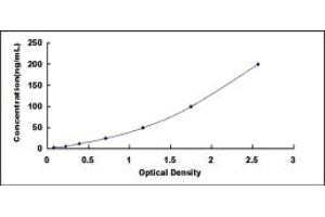 Typical standard curve (PRTN3 ELISA 试剂盒)