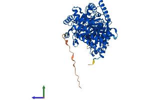 Protein Structure (PS) image for Carnitine O-Acetyltransferase (CRAT) (AA 1-626) protein (His tag) (ABIN7552892)