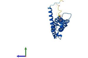 Protein Structure (PS) image for Proteasome (Prosome, Macropain) Activator Subunit 1 (PA28 Alpha) (PSME1) (AA 1-249) protein (His tag) (ABIN7551105)
