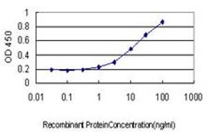 Detection limit for recombinant GST tagged SMAD3 is approximately 1ng/ml as a capture antibody. (SMAD3 抗体  (AA 1-110))