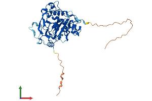 Protein Structure (PS) image for AlkB, Alkylation Repair Homolog 1 (ALKBH1) (AA 1-389) protein (His tag) (ABIN7562810)
