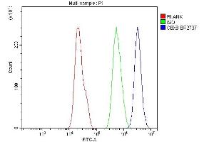 Flow Cytometry analysis of A549 cells using anti-Cbx8 antibody (ABIN7599341).