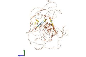 AlphaFold protein structure predicition of Human Recombinant RAD51AP2 Protein, UniprotID Q09MP3 (RAD51AP2 Protein (AA 1-1159) (His tag))