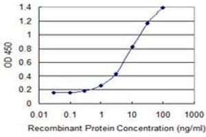Detection limit for recombinant GST tagged HUS1 is 0. (HUS1 抗体  (AA 1-280))