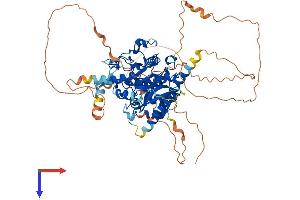 MTMR14 Protein (AA 1-650) (His tag)