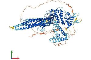 Protein Structure (PS) image for Signal Transducer and Activator of Transcription 2, 113kDa (STAT2) (AA 1-851) protein (His tag) (ABIN7555662)