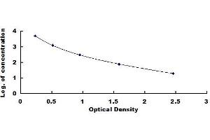 Typical standard curve