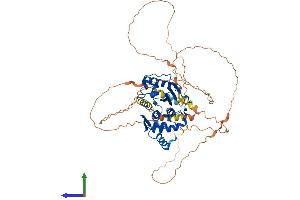 Protein Structure (PS) image for SUMO1/sentrin/SMT3 Specific Peptidase 2 (SENP2) (AA 1-588) protein (His tag) (ABIN7564838)